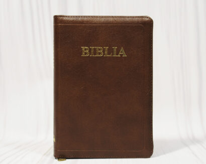 Biblia 057 ZTI (brown)