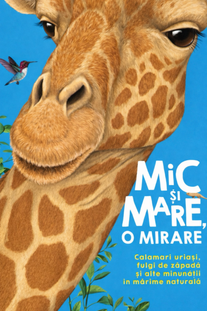 Mic şi mare, o mirare