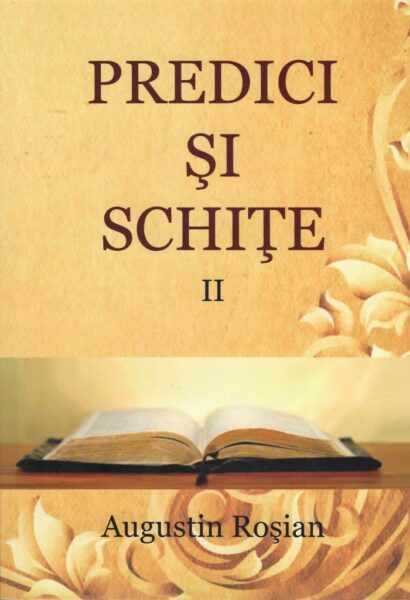 Predici si schite - Vol. II